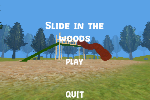 Slide-in-the-Woods